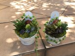 ブリキの多肉（アート）アレンジＡ・Ｂ