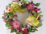 tropical　pink:Pincushion　wreath　no.2の画像
