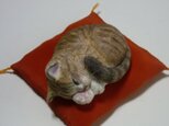 アンモニャイト　キジトラ猫さん1　絹の座布団付の画像