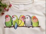 ふんわりコザクラインコの Tシャツの画像