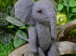 Baby elephant（子象）の画像