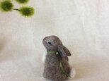 ウールの野うさぎ ( 再出品 )