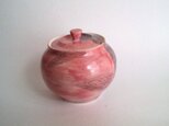 Pink&Brown Pot <２>