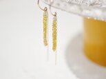 Yellow Sapphire*Pierceの画像