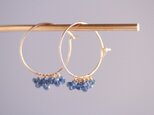 blue trim earringsの画像