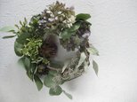 summer wreath（紫陽花とアーティチョーク）の画像