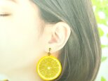 レモン(両面細工)大サイズ☆リアルな食品サンプルのフルーツイヤリング
