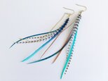 feathers earringの画像