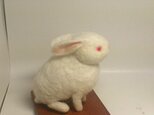 ﾊﾝﾄﾞﾒｲﾄﾞ羊毛フェルトdeシロウサギの画像