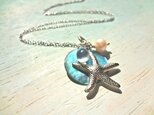 starfish in the blue seaの画像