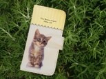 全機種対応 手帳型 スマホケース iPhoneXs iPhone9 猫 kitten sits 座る子猫の画像