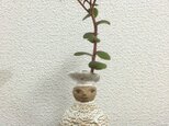 人型花瓶の画像