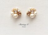 Mix stone *Light brown / Earringsの画像