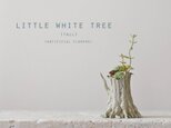 Little white tree (tall)の画像