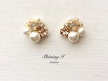 Mix stone *Beige / Earringsの画像