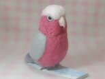 モモイロインコ mini♪☆マグネット/ブローチどちらか選択 羊毛フェルト　受注作成の画像