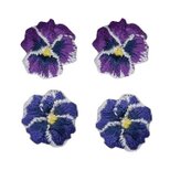 アップリケワッペン パンジーパープル系 4枚セット W-0386 すみれ ビオラ 三色スミレ フラワー 花