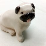 陶 手のひら わんこ