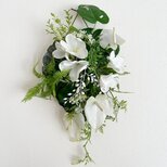 Plumeria Green hanging IV
