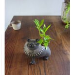 ライオン/黒（大）植木鉢