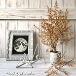 星月猫★「ナンテンの蕾のみで作ったシャビーシックなスワッグ大サイズ」おまけ小枝２本付　ドライフラワー　花束