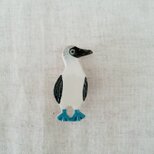 アオアシカツオドリのブローチ