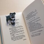 un chien 624の画像