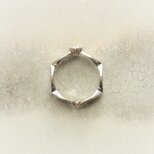 【6号、７号】Botanique　リング/ SV925,シャンパンガーネット　