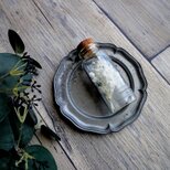 植物標本　Botanical Collection ■ No.56-A　かすみ草　オーバータイムの画像