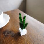 多肉植物のアロマストーンキューブ  ■  Sサイズ ■ 多肉植物　カクタス グリーンの画像