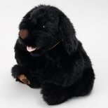 感動する抱き心地。重さ約3400g、命の重みを感じる犬のぬいぐるみ・クロラン（黒）の画像