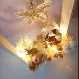 《プリザーブドフラワー》サンタとトナカイが光り輝く素敵なクリスマス(ラッピング無料)の画像