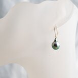 K18YGタヒチパール　フックピアス