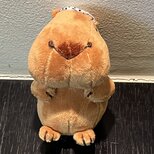 カピバラキーホルダーの画像
