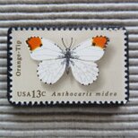アメリカ　蝶切手ブローチ 8836の画像