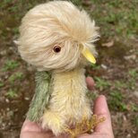 ハンドメイド＊インコ＊ぬいぐるみ＊小鳥＊spirit animal＊グラスアイ＊モヘア＊鳥＊モヘア＊テディベア＊くま＊アニマルの画像