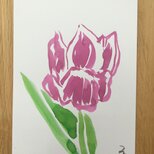 今月の記念日ポストカード　5月10日　紫のチューリップの画像