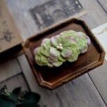 花びらのバレッタ  Lサイズ ■ フラットデザイン コットンパール ■ メロンピンク