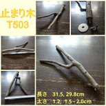 止まり木（枝：TOY-08-015）T503の画像