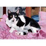 《一点物》原画「ウメ12」➕猫イラスト３枚無料プレゼント！