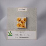ハーブ染めピンバッジ☆ウコン染めの画像