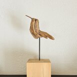 足の長い鳥の画像