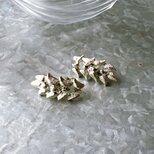 Y1114-ヴィンテージイヤリング U.S.A. 1960〜70s Silver Tone Botanical Motifの画像