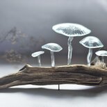 ガラスのキノコ　置物　オブジェ　クリア筋笠5本の画像