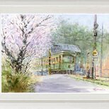 水彩画原画　桜と江ノ電・極楽寺付近　＃659の画像