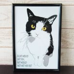 はちわれ猫さんのポスターの画像