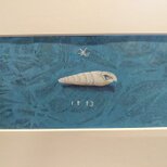 ナガタケノコカニモリ貝の画像
