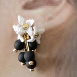 コショウノキの花のイヤリングの画像
