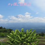 ＊v様ご依頼品の画像