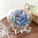 bubble garden “あじさい” 晴れやかブルー2025の画像